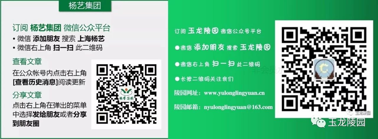 九五至尊VI-老品牌值得信任!