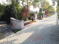 城市最后一平米：生态葬，是与天然的和解？还是无奈的选择？