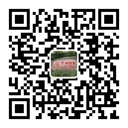 九五至尊VI-老品牌值得信任!